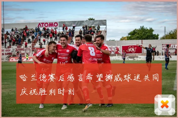 哈兰德赛后感言希望挪威球迷共同庆祝胜利时刻