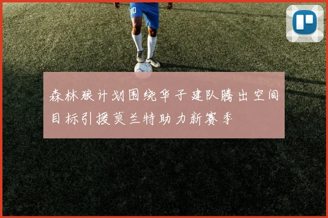 森林狼计划围绕华子建队腾出空间目标引援莫兰特助力新赛季