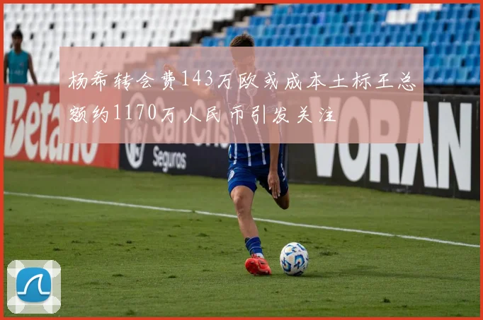 杨希转会费143万欧或成本土标王总额约1170万人民币引发关注