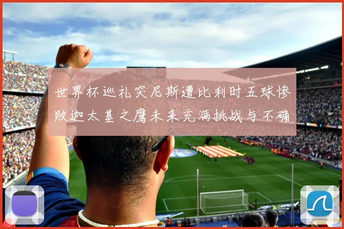 世界杯巡礼突尼斯遭比利时五球惨败迦太基之鹰未来充满挑战与不确定性